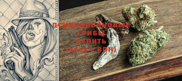 твердый Алзамай