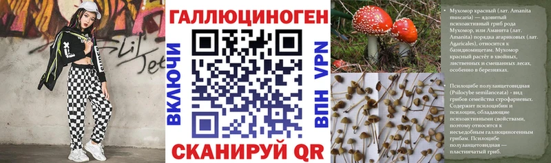 Галлюциногенные грибы Psilocybe сколько стоит Курск