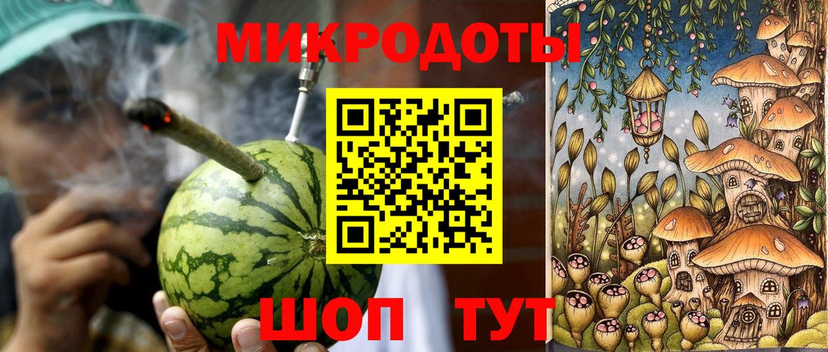 Псилоцибиновые грибы Psilocybine cubensis Курск