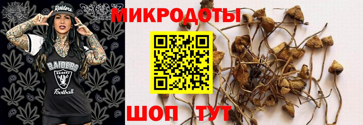 Курск  Псилоцибиновые грибы ЛСД  Вход с VPN 