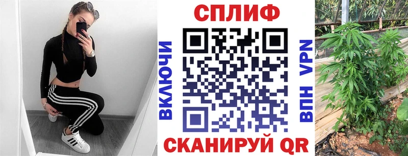 blacksprut   Курск  Канабис план 
